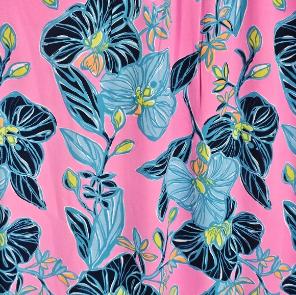 Lilly Pulitzer Dress Size XL - Picture 6 of 7